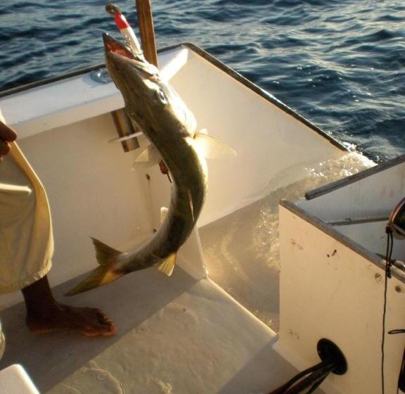 استراحتگاه Ankazoberavina