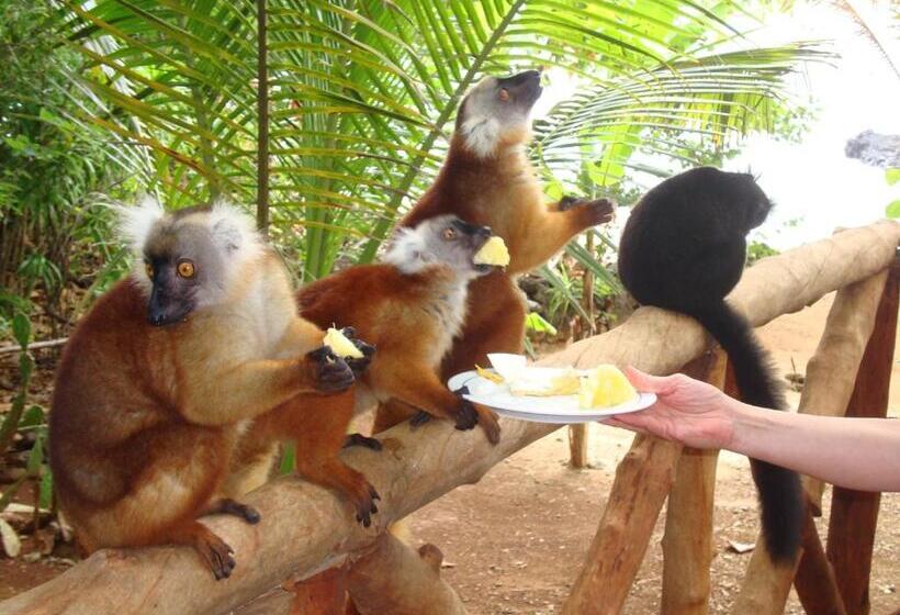 استراحتگاه Ankazoberavina