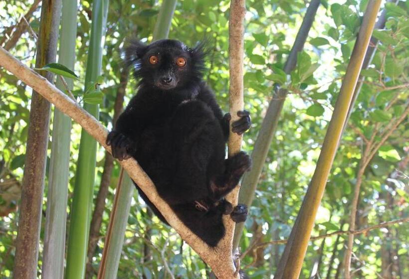 استراحتگاه Ankazoberavina