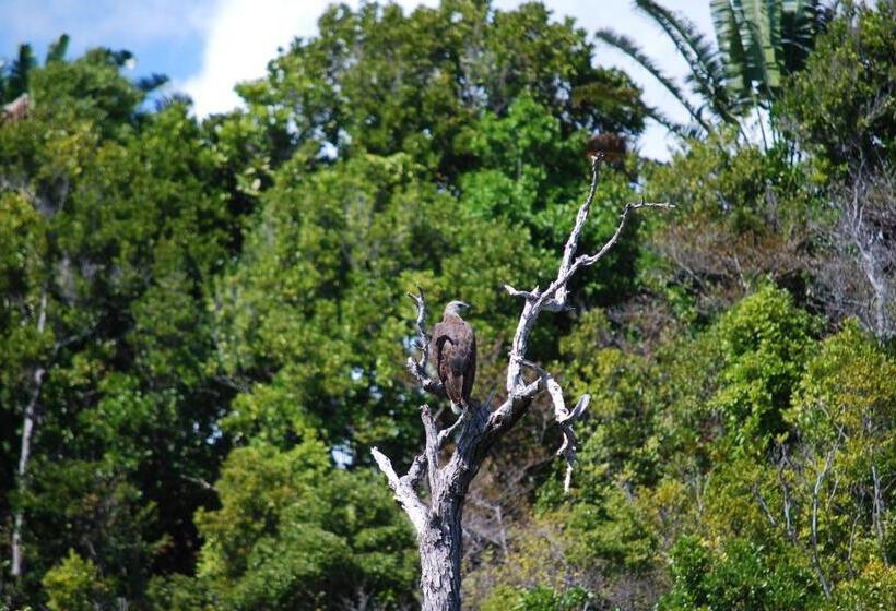 استراحتگاه Ankazoberavina