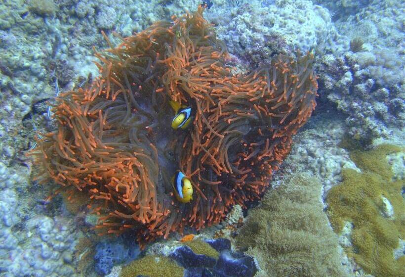 استراحتگاه Ankazoberavina