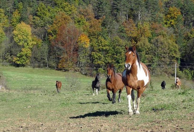 Bed And Breakfast špelca
