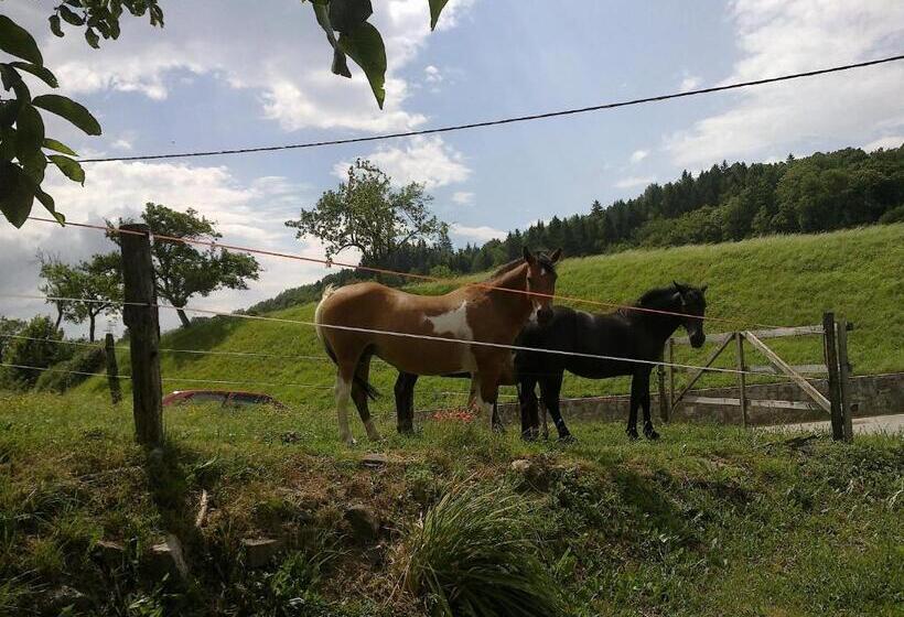 Bed And Breakfast špelca