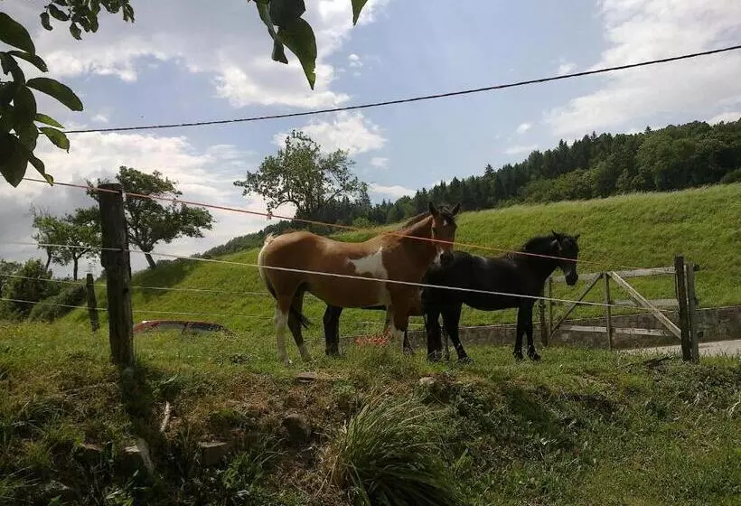 Bed And Breakfast špelca