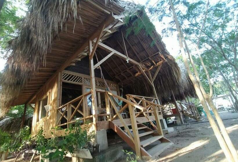 هتل Centro Ubuntu