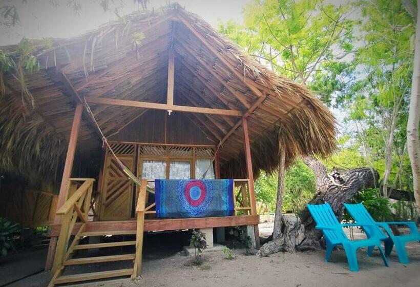 هتل Centro Ubuntu