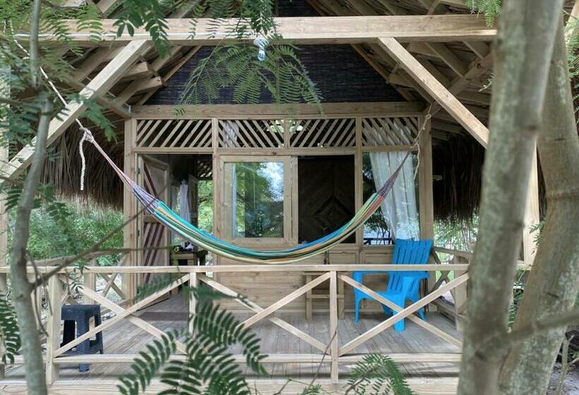 هتل Centro Ubuntu