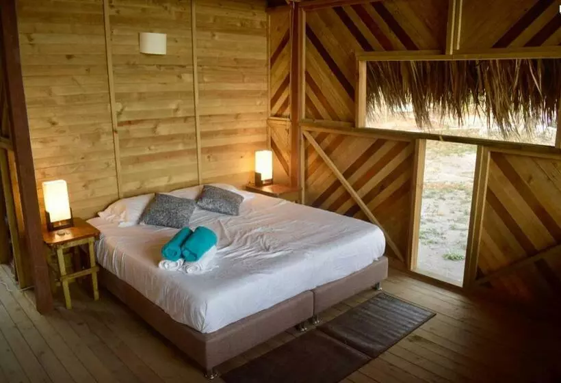 ホテル Centro Ubuntu