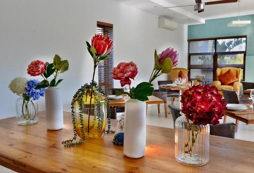 酒店 Ladybird Lodge