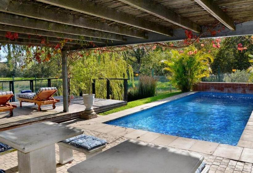 酒店 Ladybird Lodge