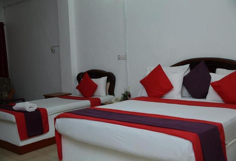 ホテル Nelly Star