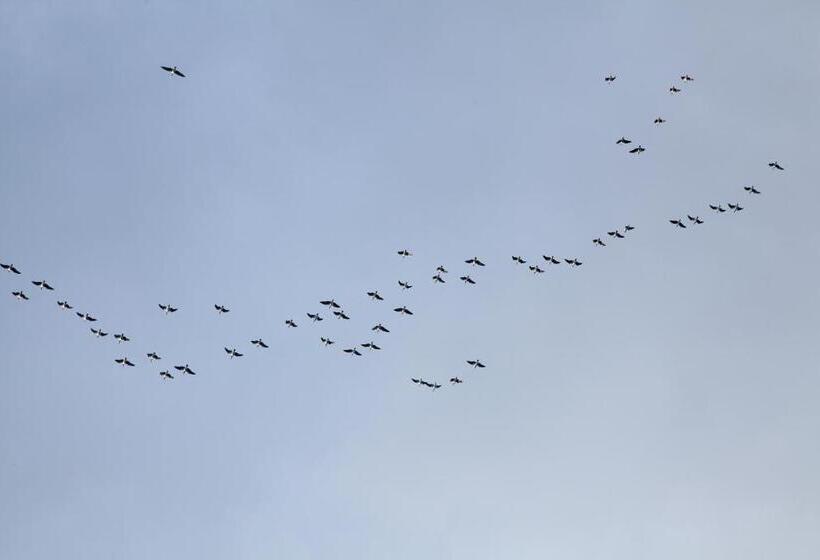 پانسیون Adami Country Guesthouse