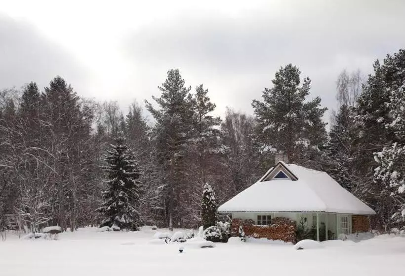 پانسیون Adami Country Guesthouse