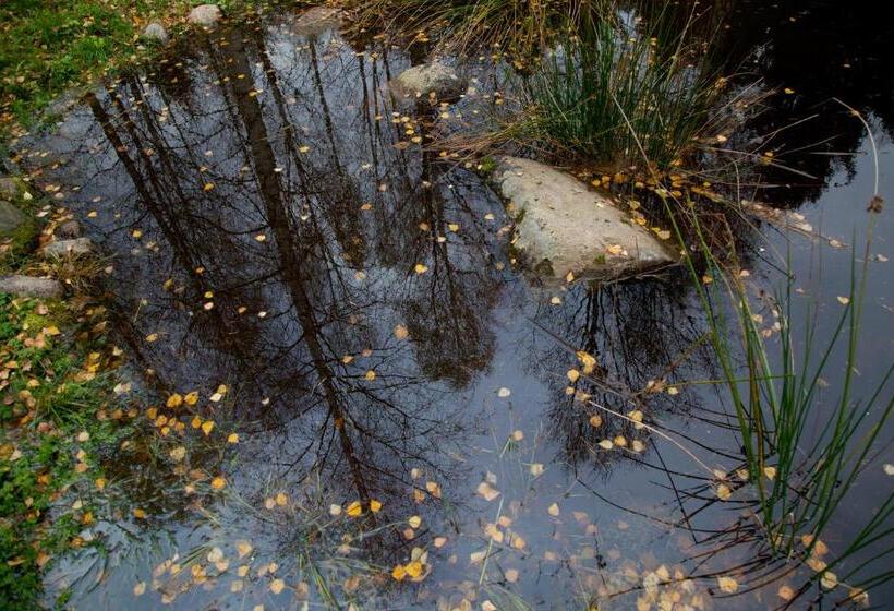 پانسیون Adami Country Guesthouse