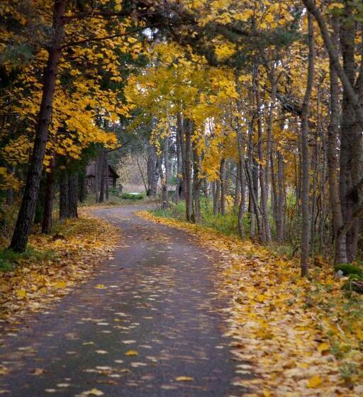 پانسیون Adami Country Guesthouse