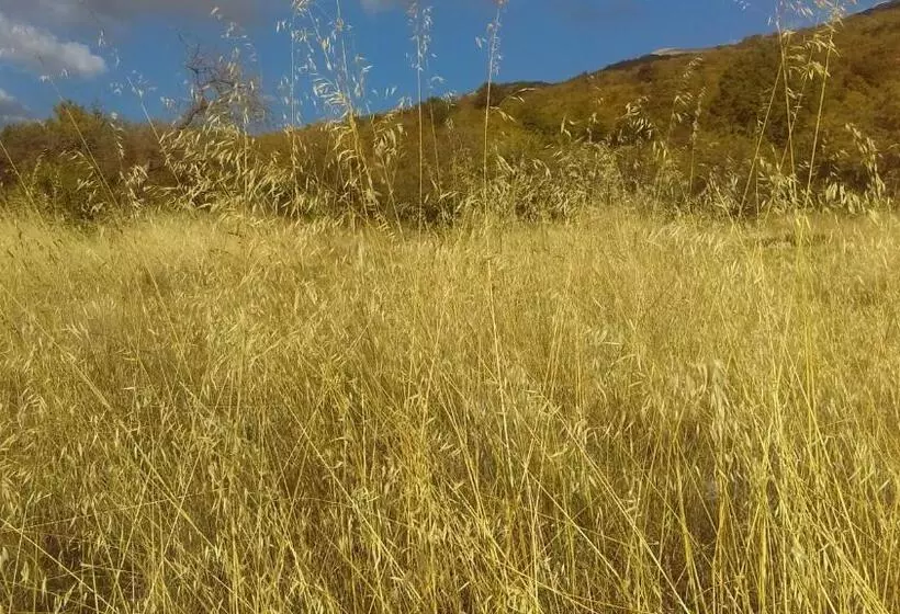 پانسیون Lile Pestani Accommodation