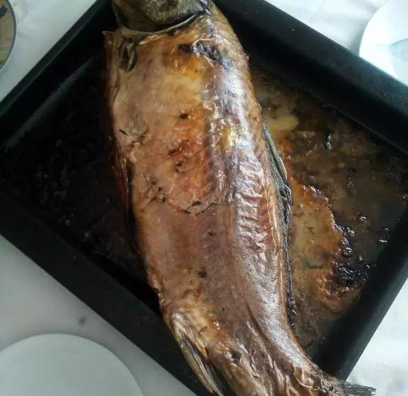 پانسیون Lile Pestani Accommodation