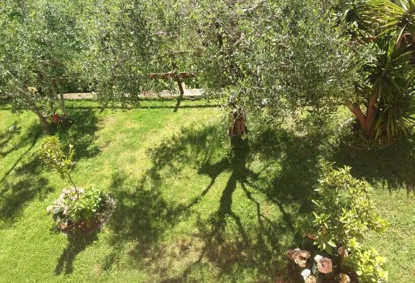ペンション Podere Morucciola
