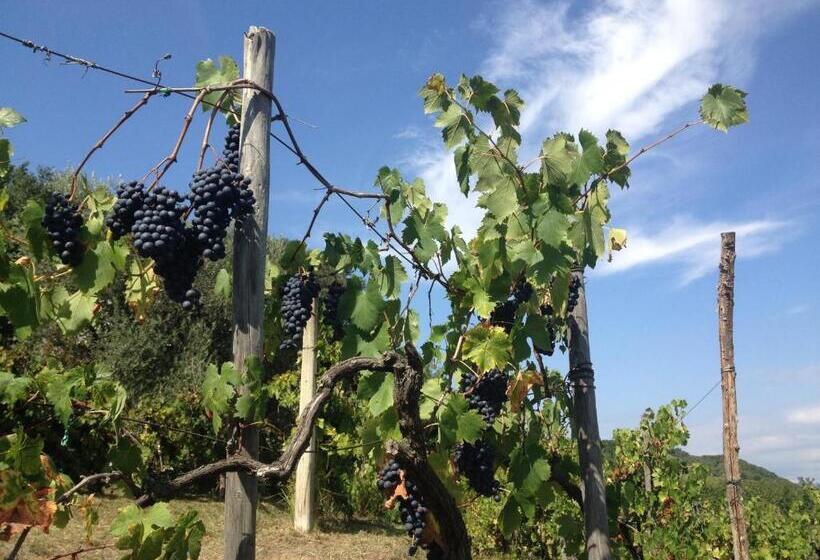 펜션 Podere Morucciola