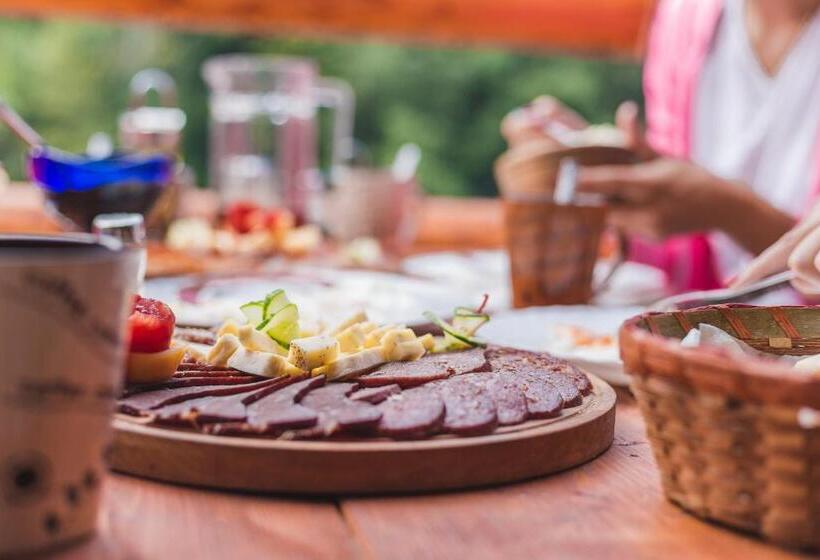 پانسیون Rafting Center Drina Tara