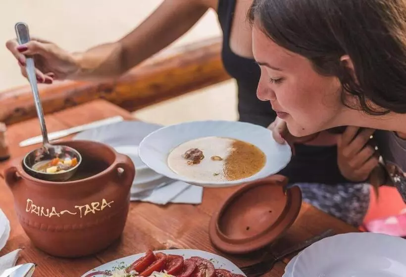 پانسیون Rafting Center Drina Tara