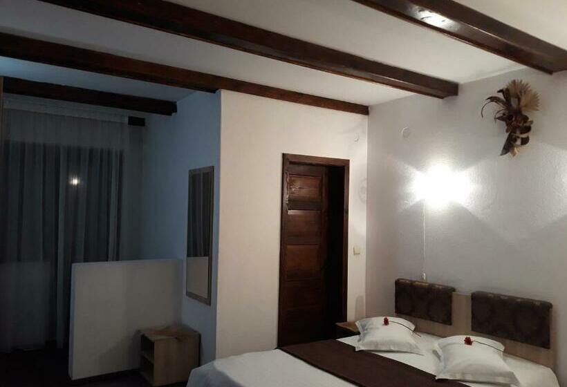 Пансион Vila Silvana