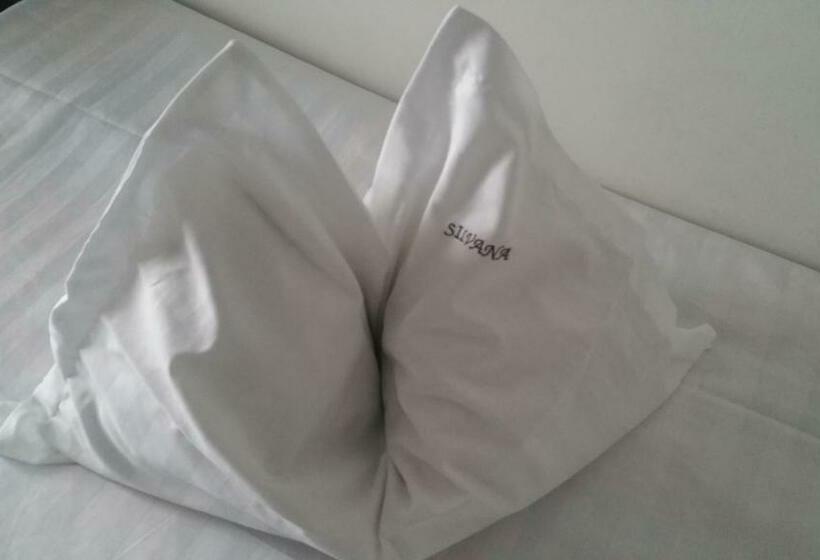 Пансион Vila Silvana