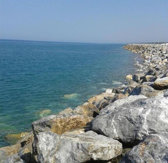 膳宿费 Villa Happy Days