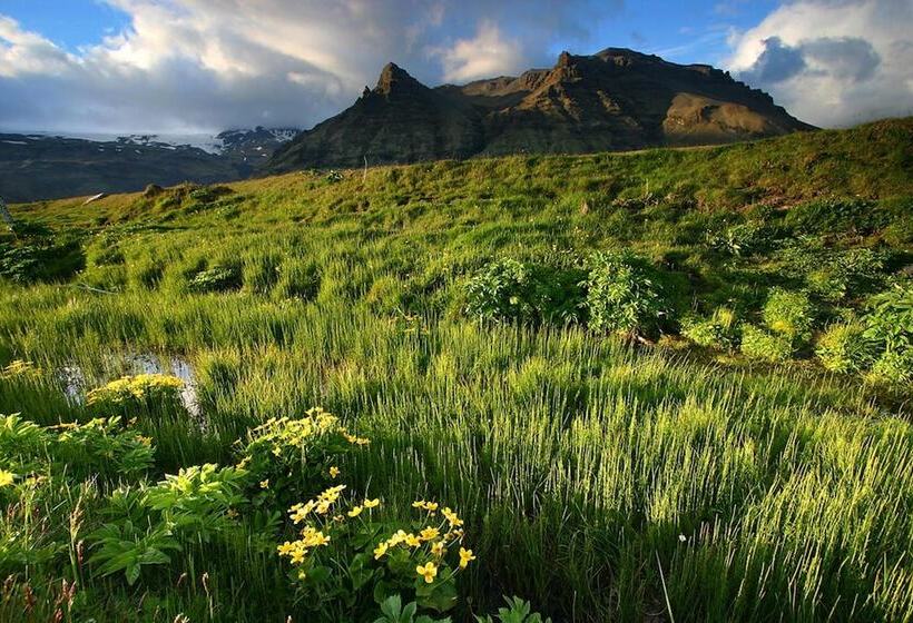 پانسیون Welcome Edinborg