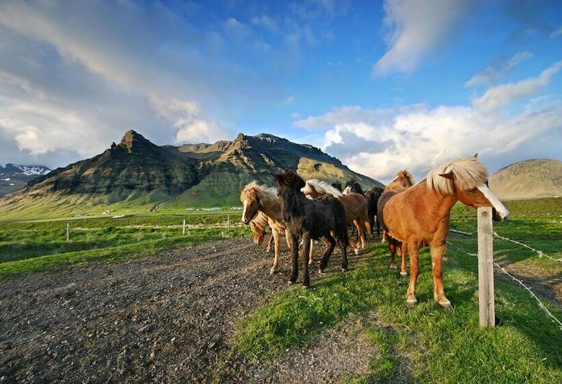 پانسیون Welcome Edinborg