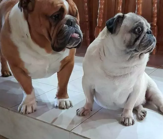 Rivervio Bed & Breakfast