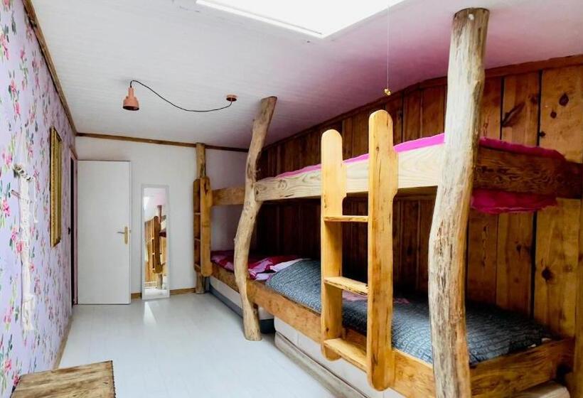 הוסטל Carwyns Surf House