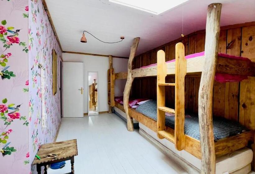 הוסטל Carwyns Surf House