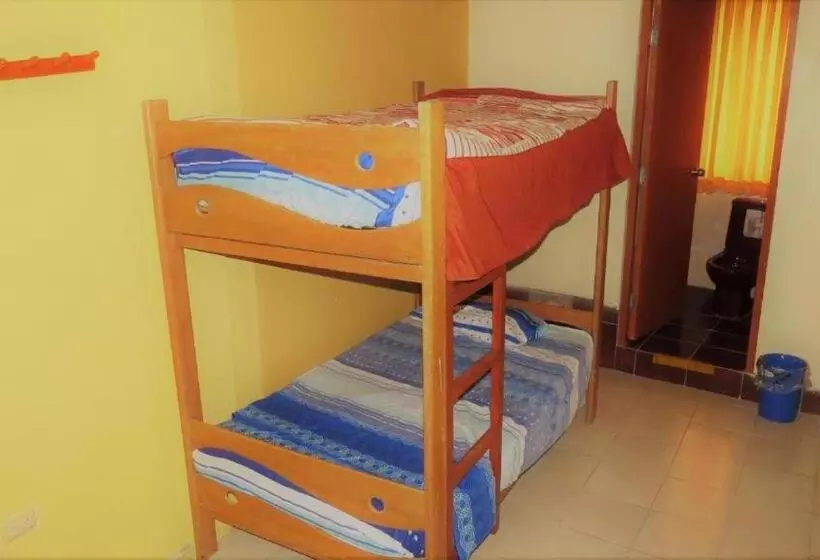 هاستل Nery Lodging