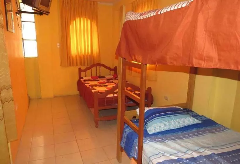 هاستل Nery Lodging