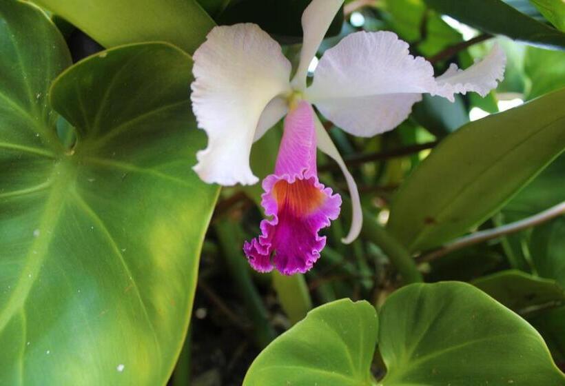 هتل Finca La Colmena De Don Juaco