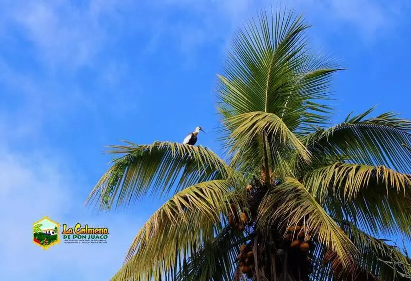 ホテル Finca La Colmena De Don Juaco