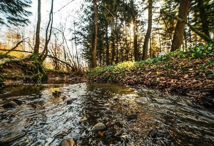 ホテル ‘‘forest House ’‘ будинок для відпочинку