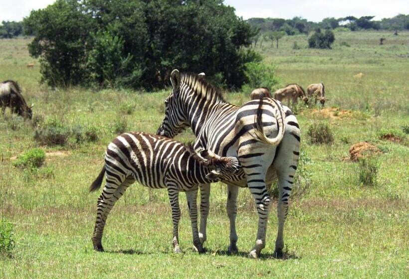 Legend Simba Safari Legend Golf Safari Resort