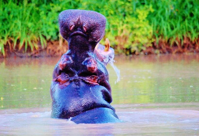 Legend Simba Safari Legend Golf Safari Resort