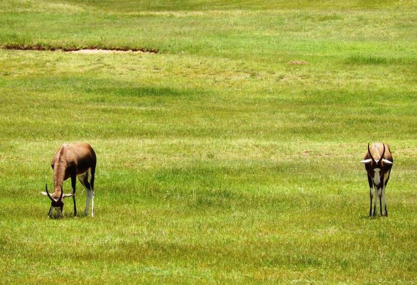 Legend Simba Safari Legend Golf Safari Resort
