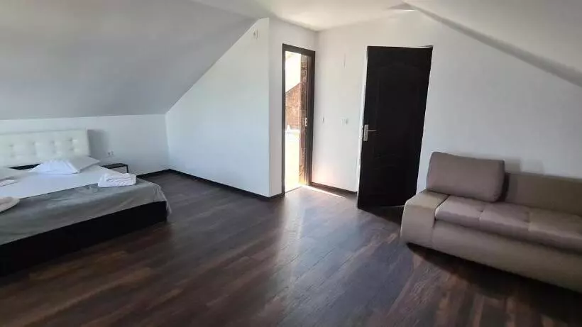 ペンション Casa Carpov Sulina