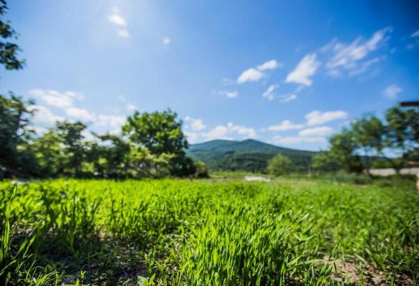 Pensão Guest House In Drachino