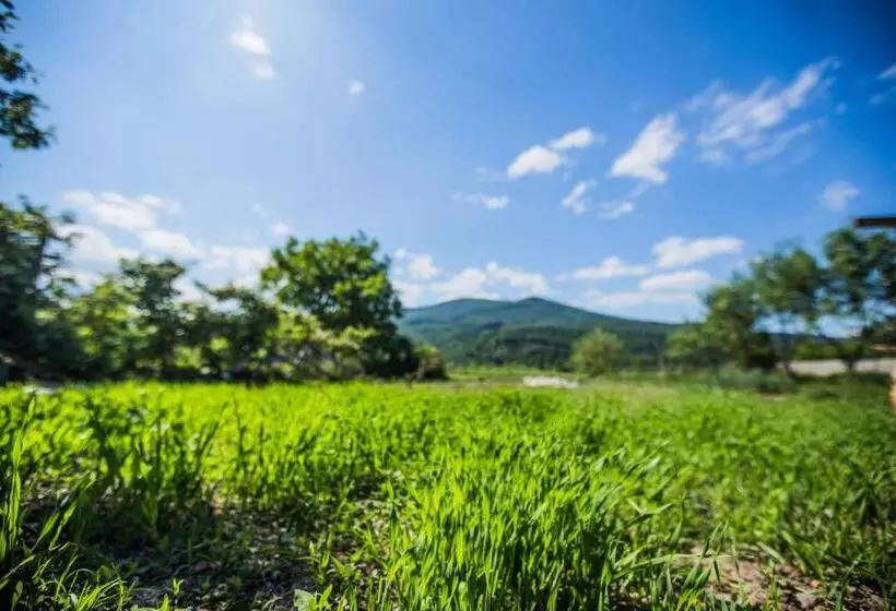 Majatalo Guest House In Drachino