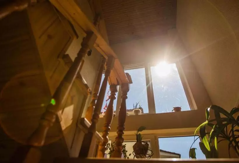 Majatalo Guest House In Drachino