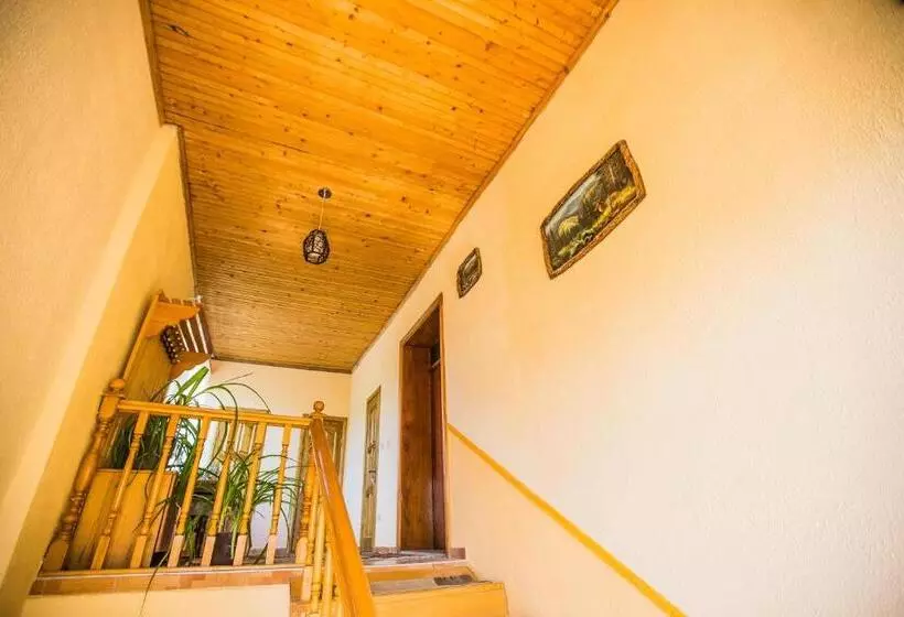 Majatalo Guest House In Drachino