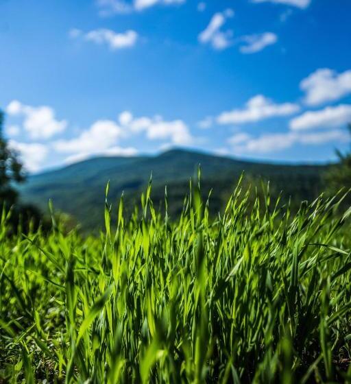 פנסיון Guest House In Drachino