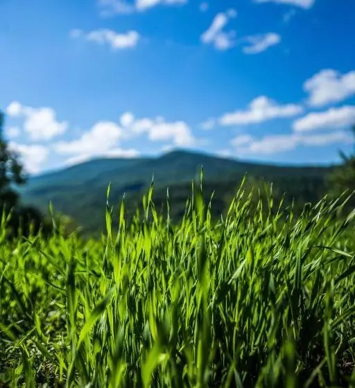 Majatalo Guest House In Drachino