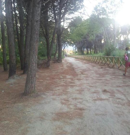 פנסיון Il Piccolo Principe Relais