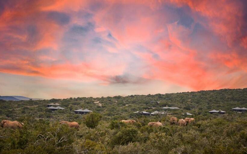Pension Kwandwe Private Game Reserve   Ecca Lodge